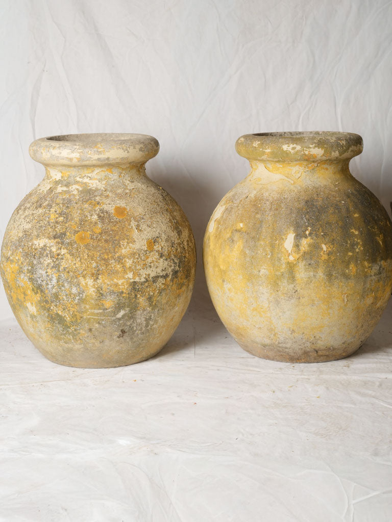 Iconic Willy Guhl planters