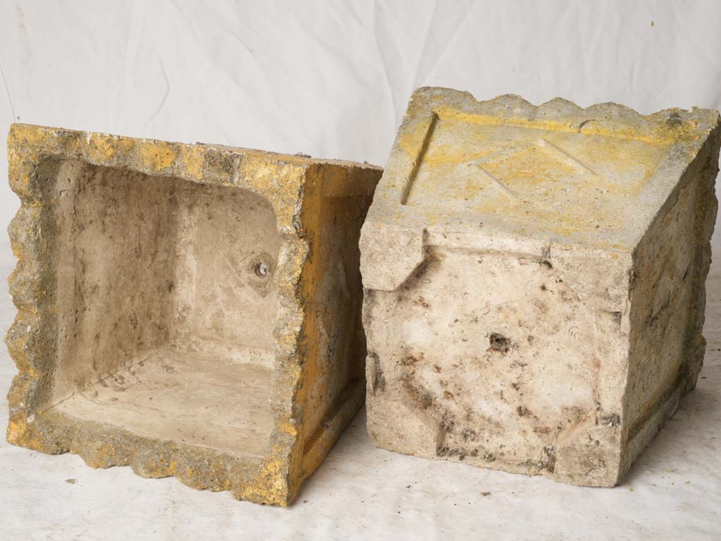 Distinctive scalloped rim yellow planters