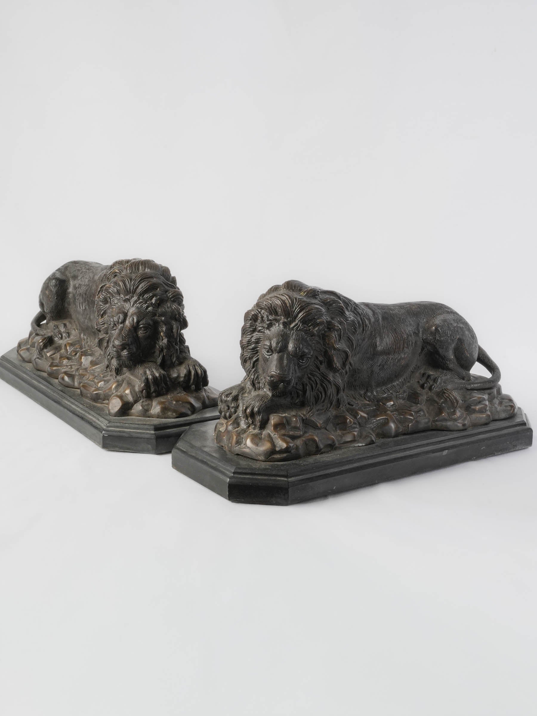 Pair of French Animalier Recumbent Lions in Patinated Bronze, Late 19th Century - 20½"