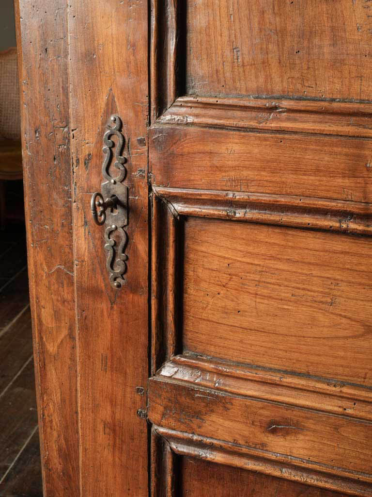 Elegant paneled door cabinet