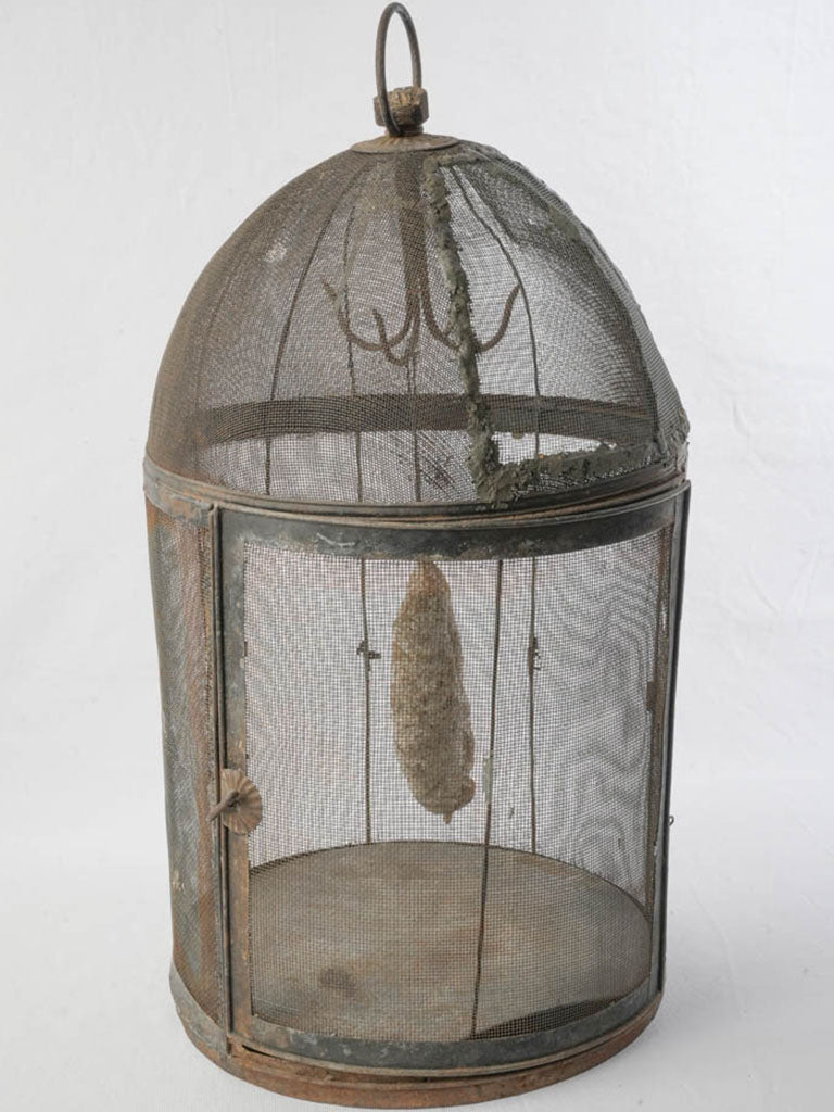 Timeworn wire-mesh hanging cage