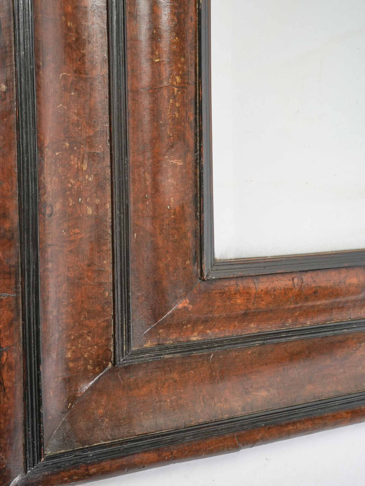 Ornate ebonized moldings mirror