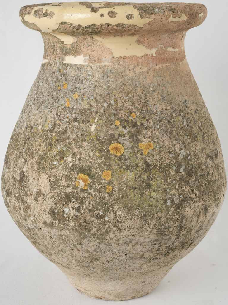 Rustic weathered Biot jar planter