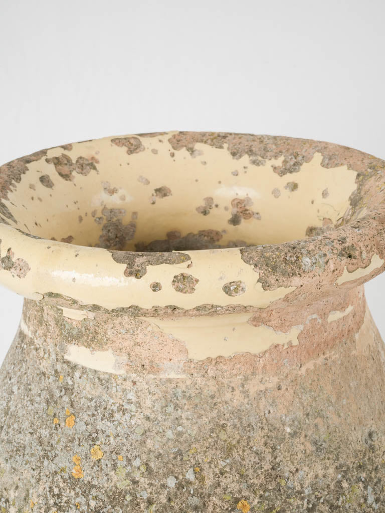 Characterful antique Biot jar planter