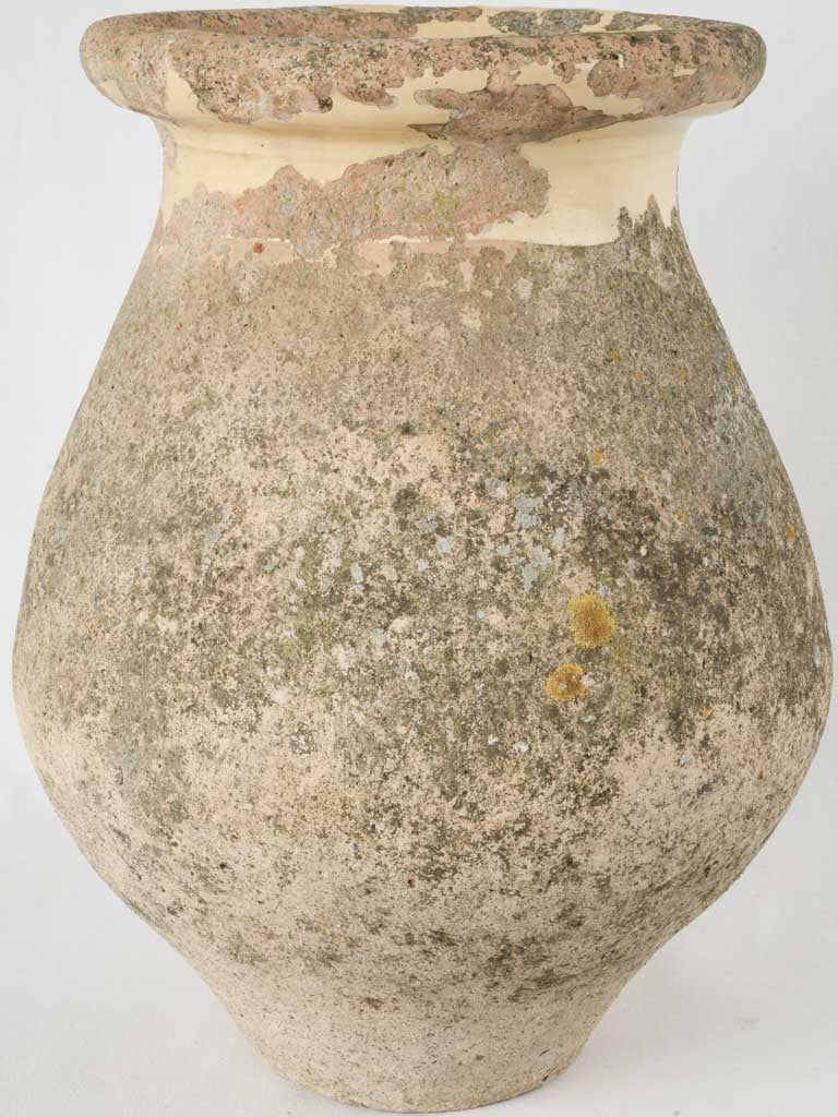 Aged Mediterranean Biot jar planter