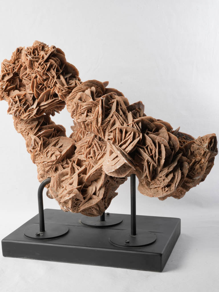 Ancient desert rose on metal