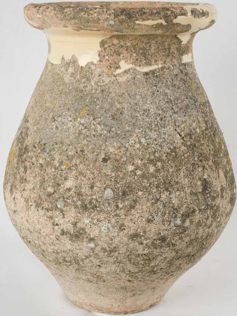 Timeworn weathered Biot jar planter