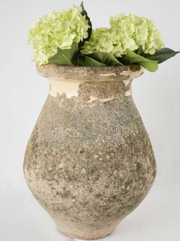 Antique Mediterranean weathered Biot jar