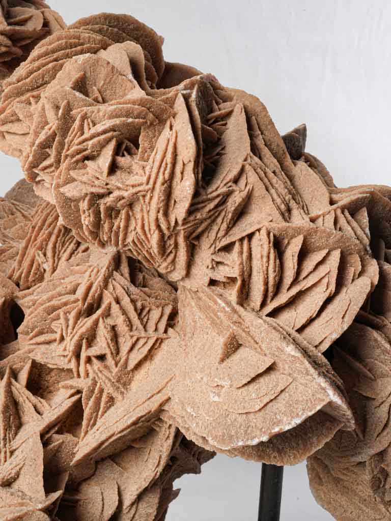 Captivating arid desert sculpture