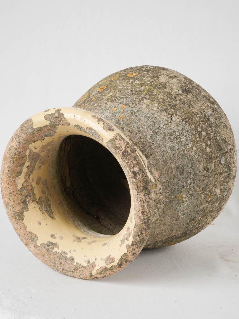 Unique rustic Biot jar planter