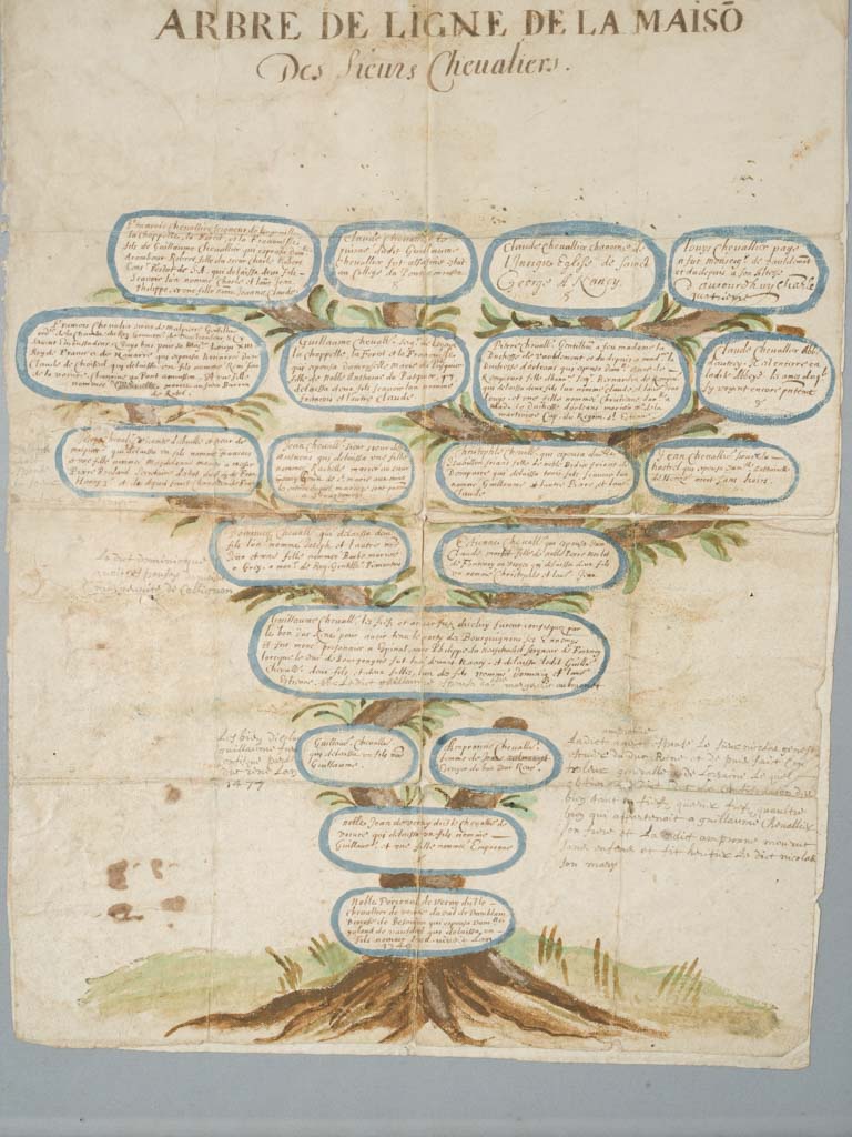 Richly illustrated lineage artifact