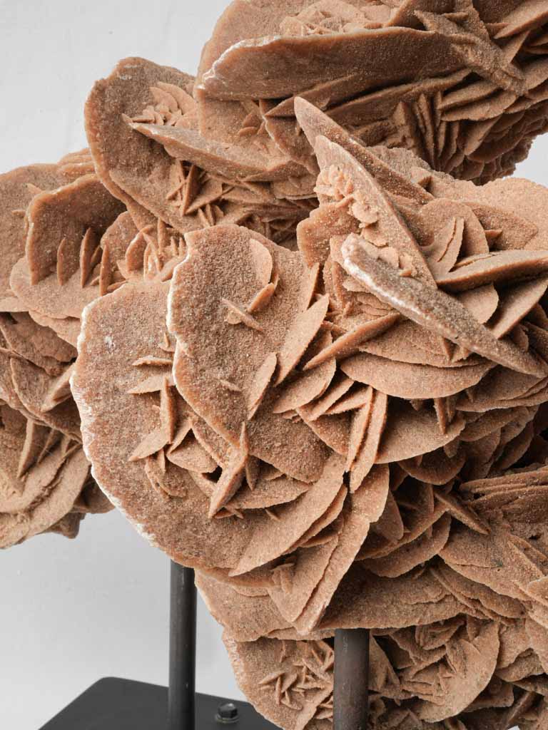 Enduring hand-shaped desert formation