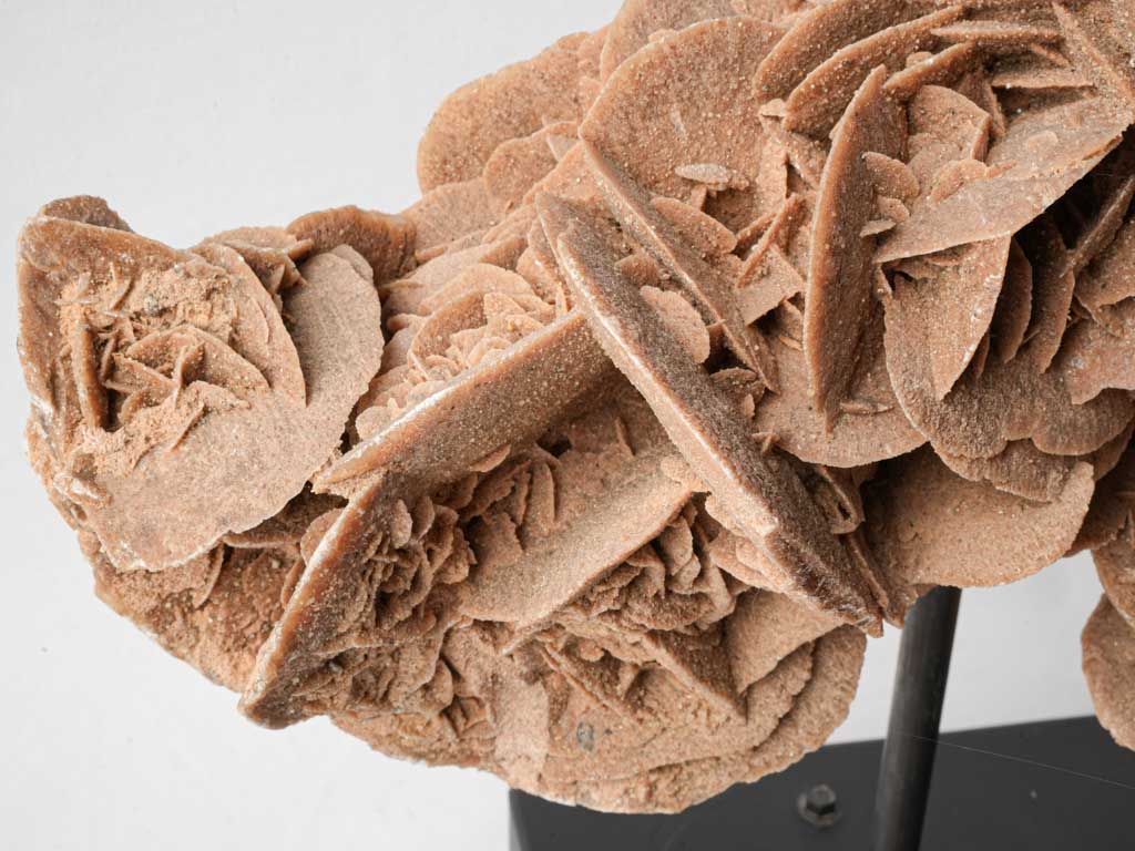 Mystical sand rose artwork