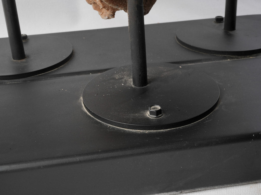 Geological marvel sand rose