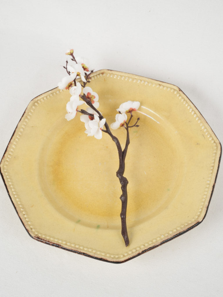 Elegant aged ceramic tableware