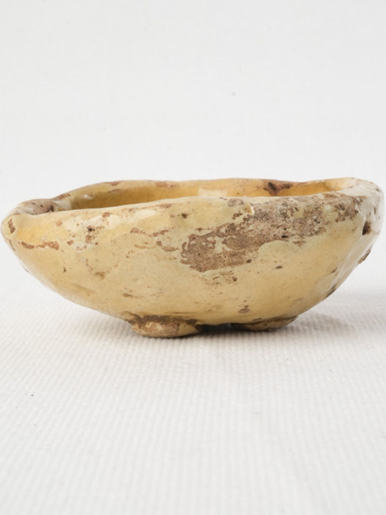 Mediterranean yellow fruit mold