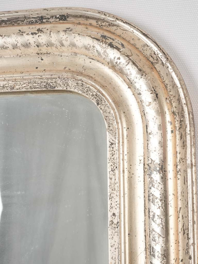 Elegant etched leaf-patterned silver mirror
