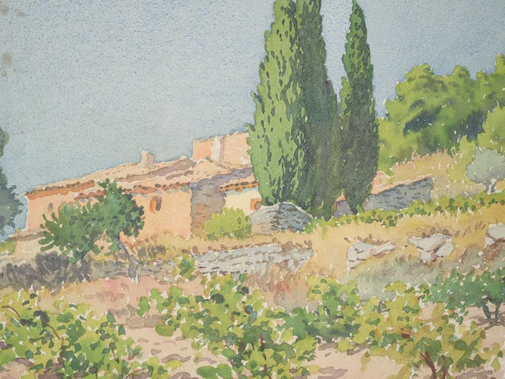 Luminous sun-washed vineyard scene