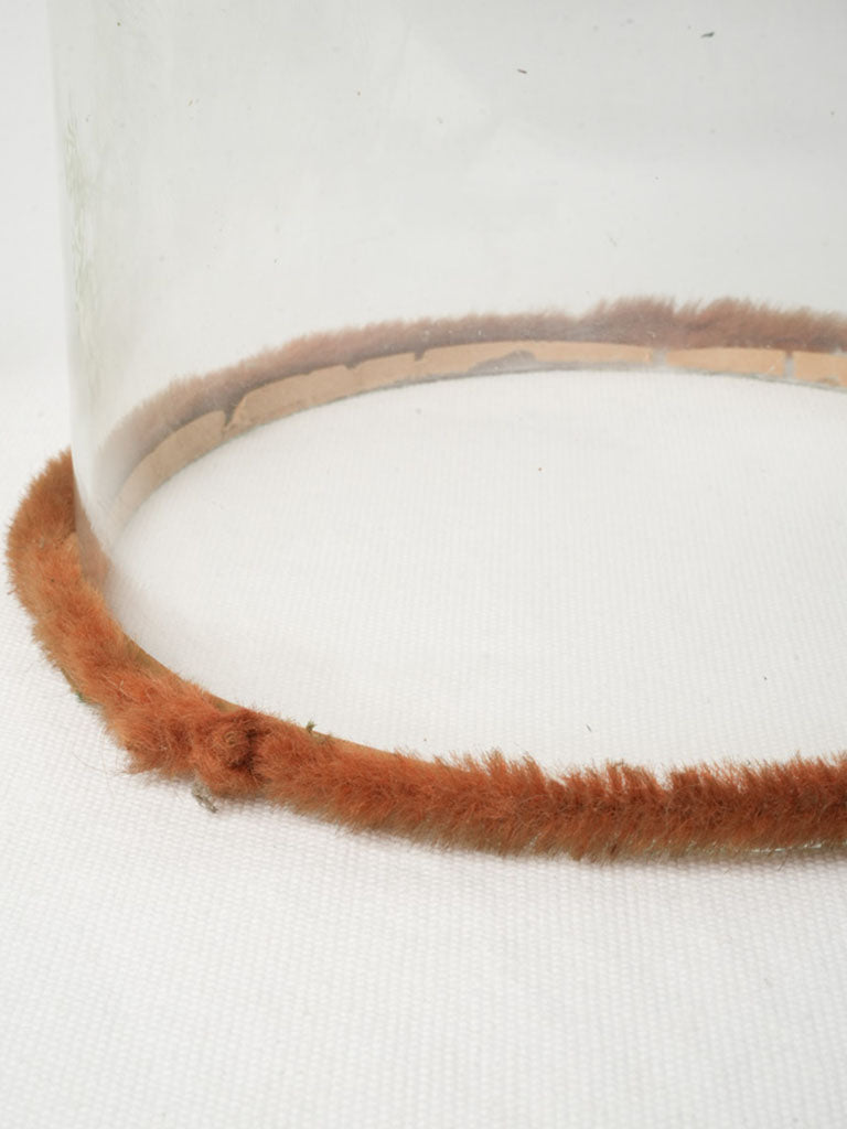 Authentic period character glass domes