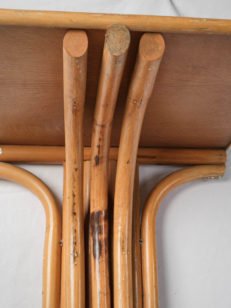Sculptural curved bentwood display shelf