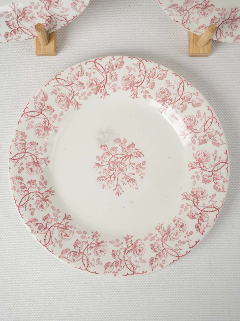 Ornate Gien Earthenware Plates