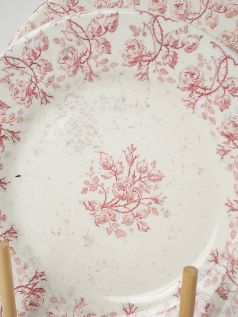 Authentic French Porcelain Dinnerware