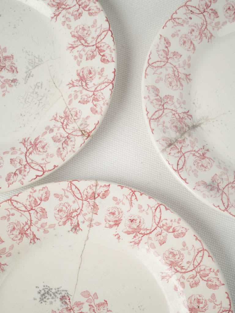 Rose Decorated Gien Plate Set