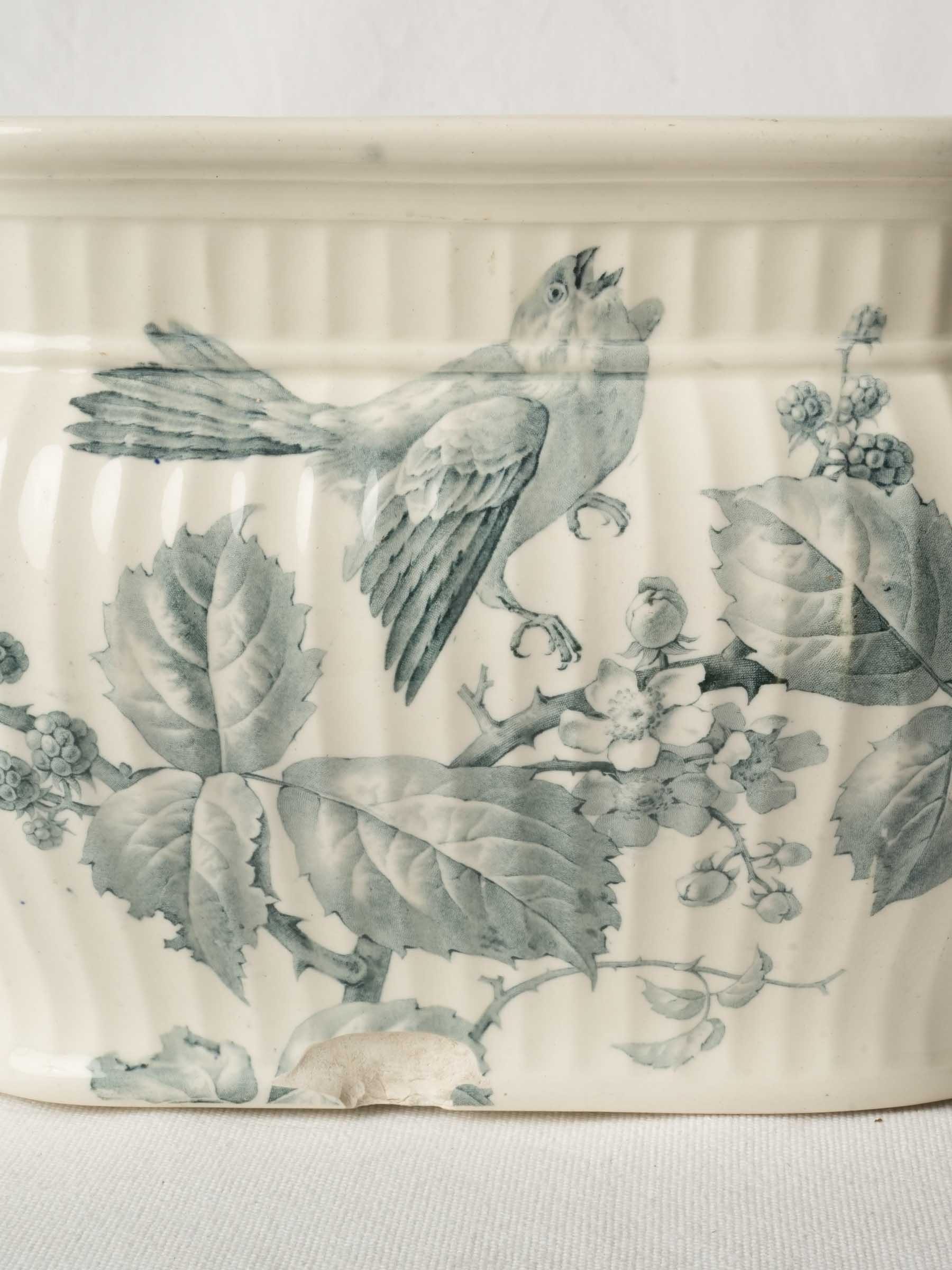 Antique English Ironstone Foot Bath w/ Naturalistic Bird-and-Bramble Motif - 20½"
