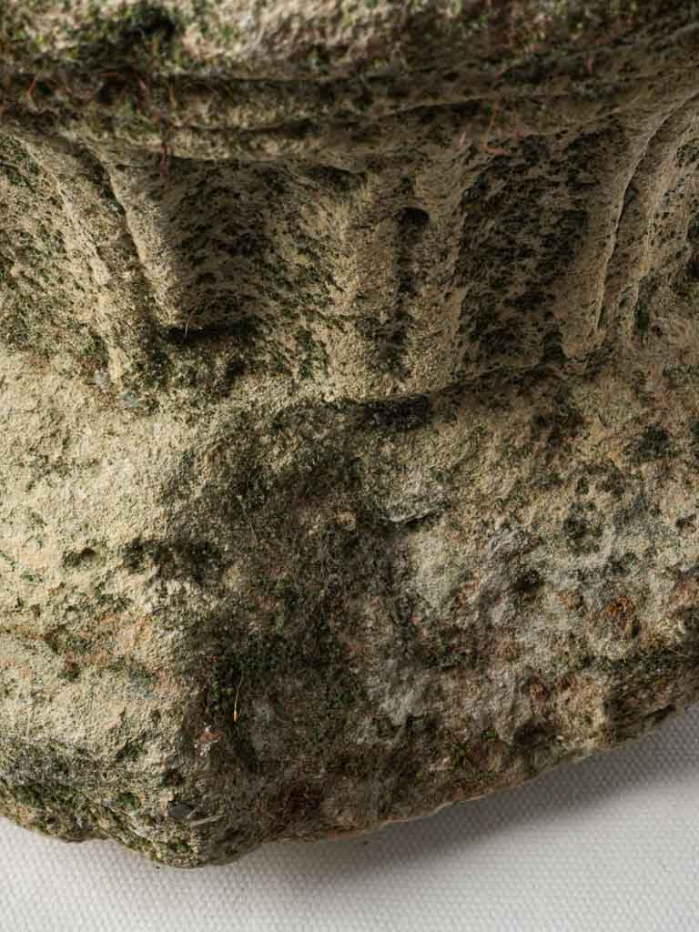 Unique ivy-adorned garden piece