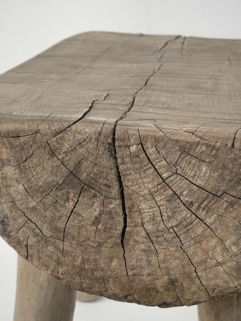 Textured primitive driftwood log plant stand