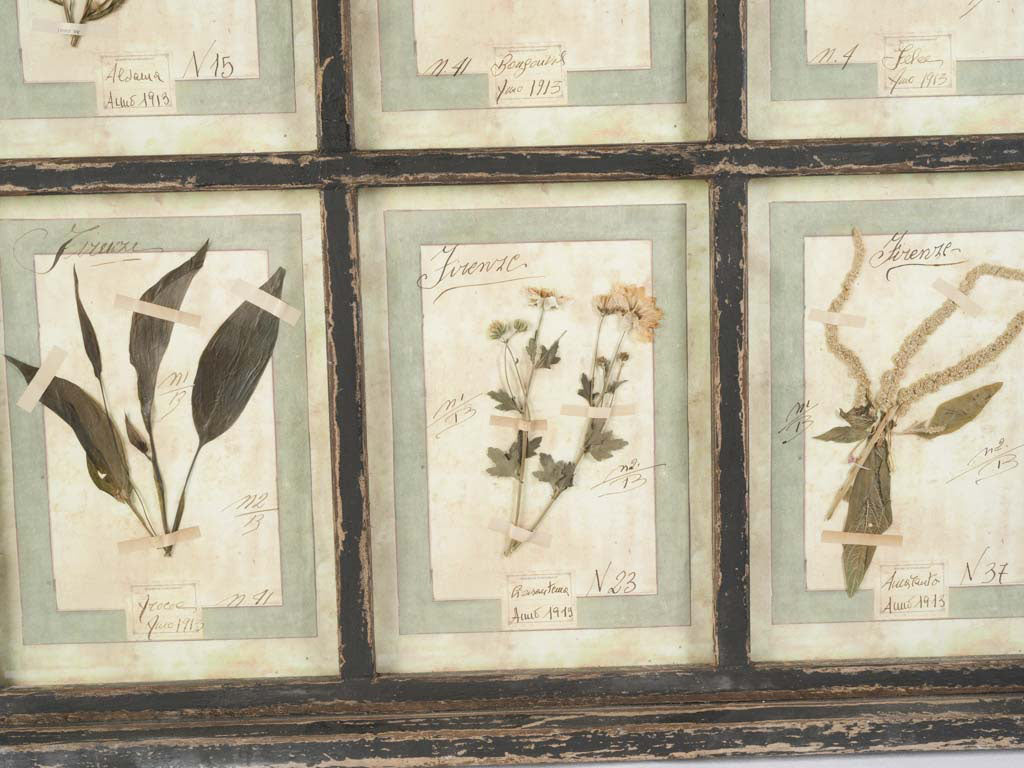 Vintage Italian botanical wall art