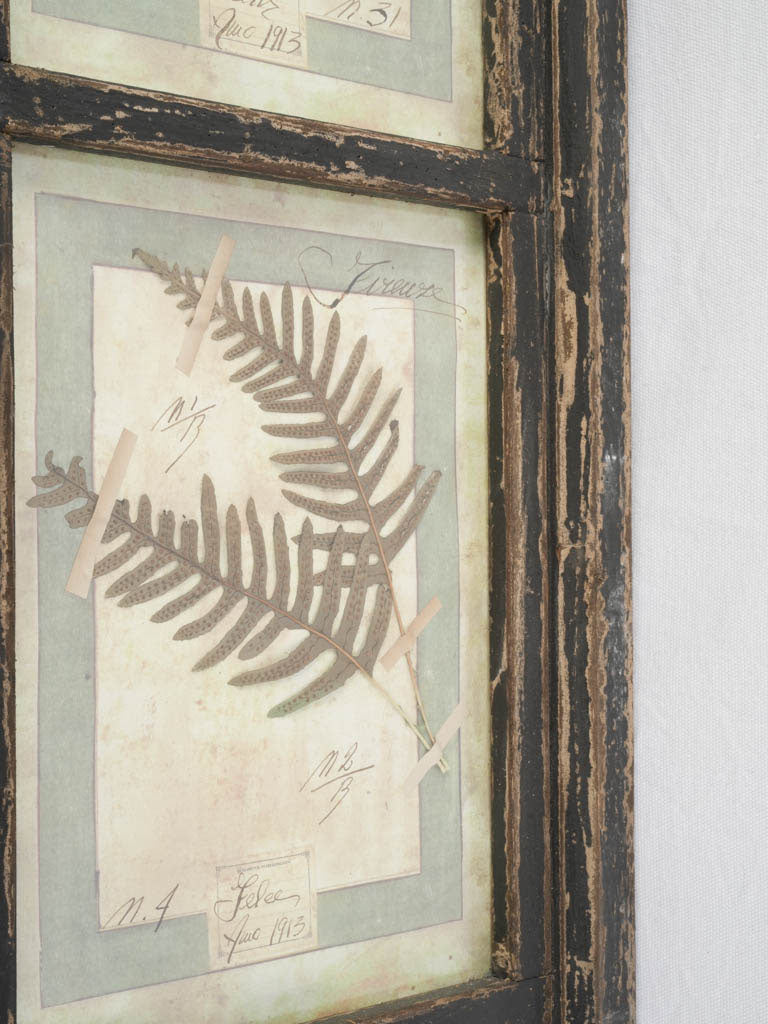 Retro scholarly-themed plant arrangement