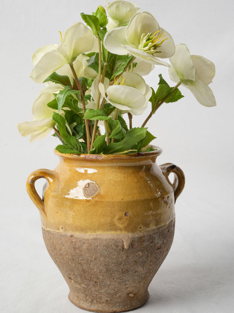 Timeworn ochre-glazed French pottery