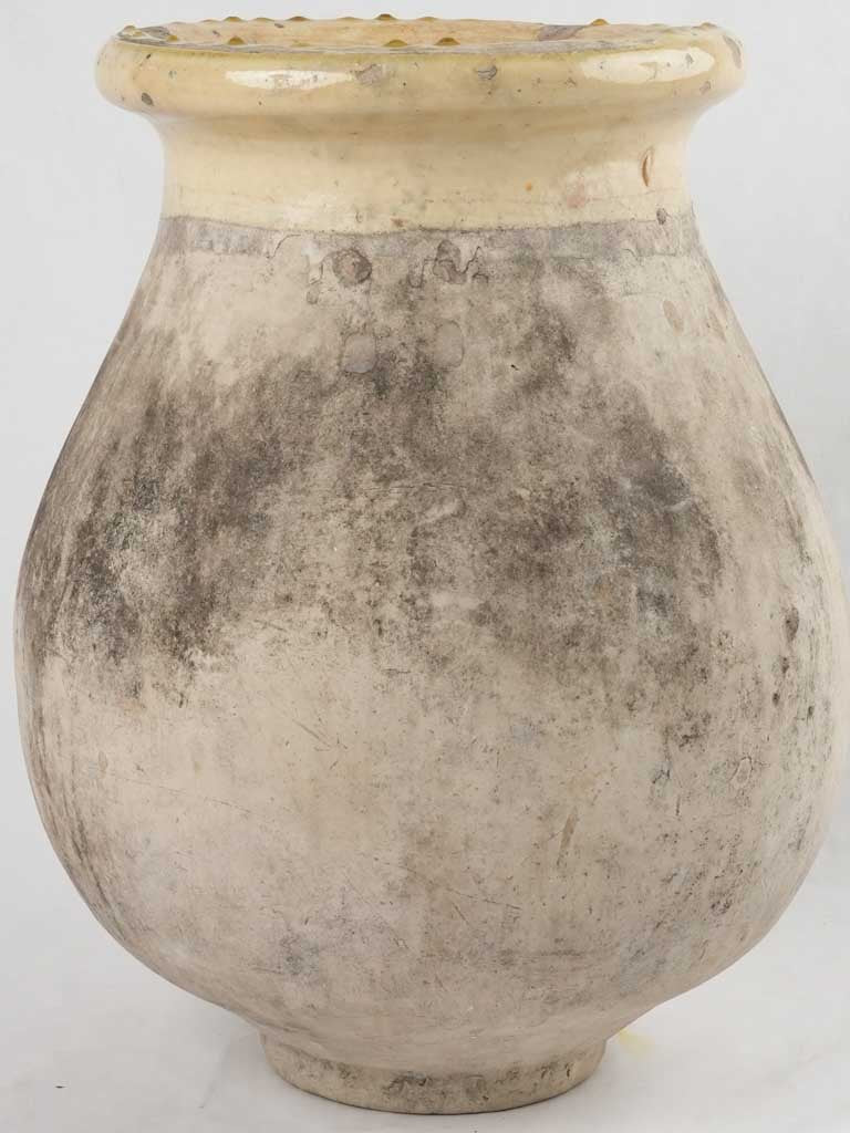 Antique French olive jar - Biot jar 19th century 22½"