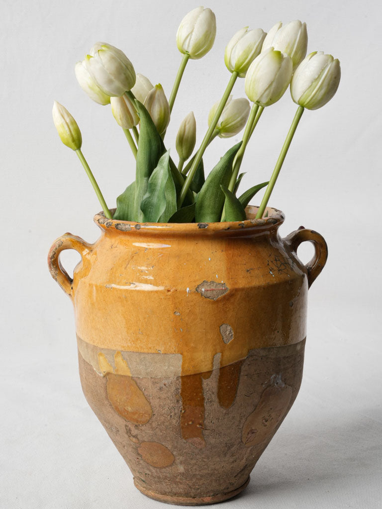 Antique French ceramic confit pot