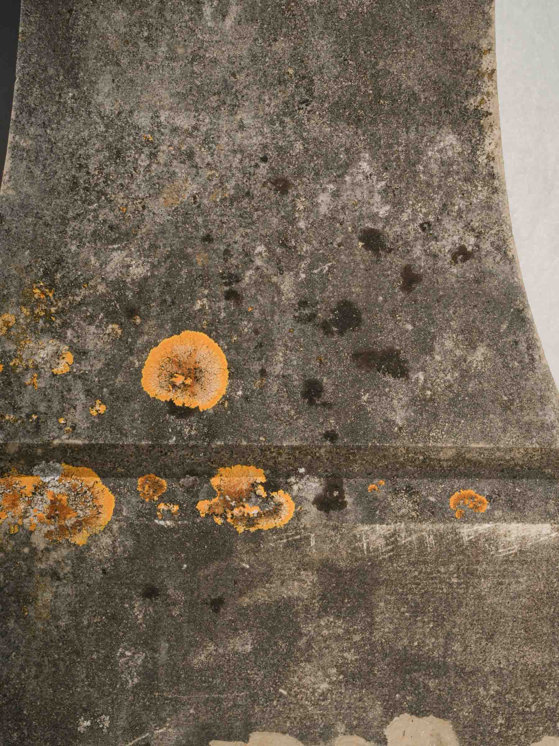 Classical lichen patina stone ornaments