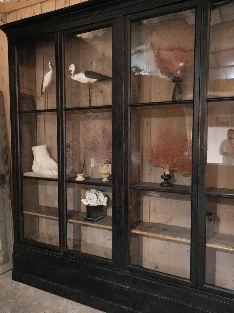 Exquisite 4-meter long walnut vitrine
