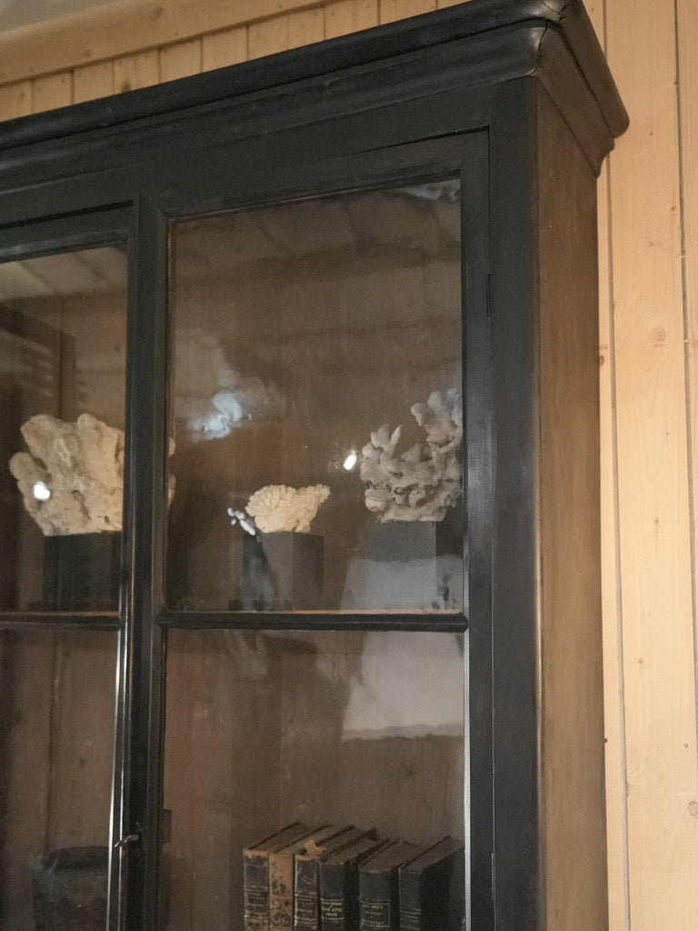 Notary office French walnut vitrine