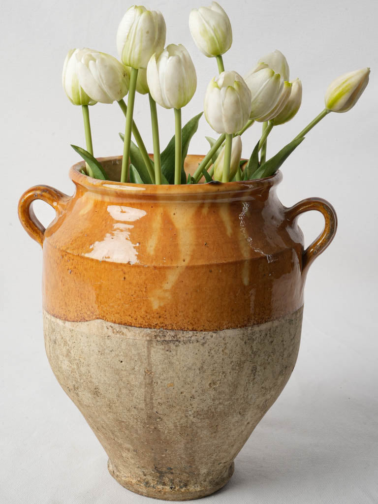 Aged French Provençal confit pot