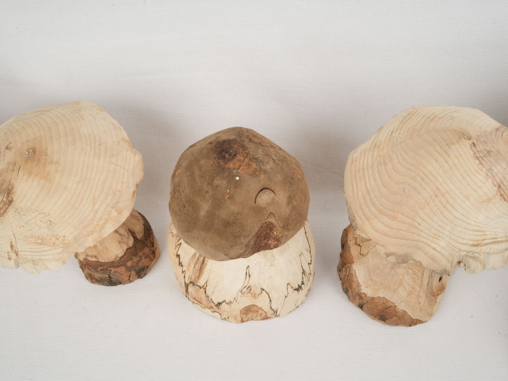Unique Artisanal Wood Mushroom Set