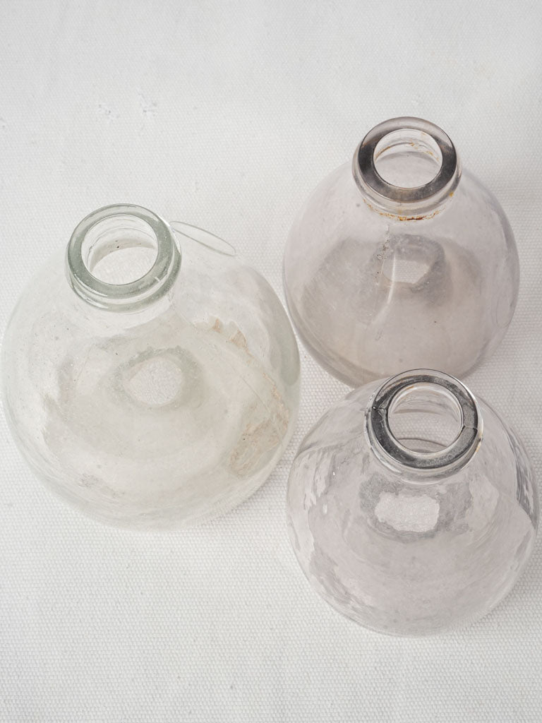 Charming press-molded fruit fly traps
