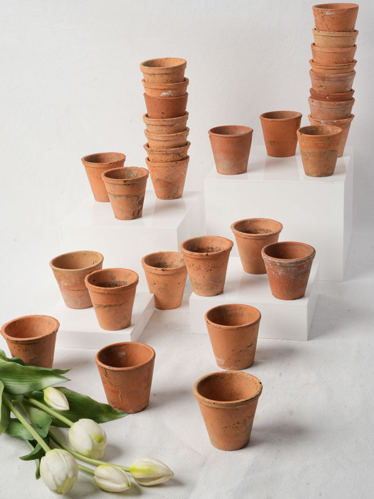 Patina weathered decorative garden pots