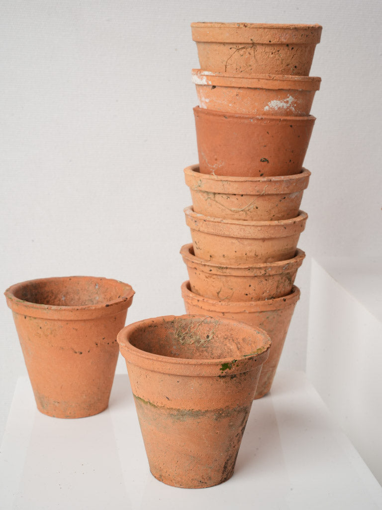 Charming utilitarian clay seedling pots