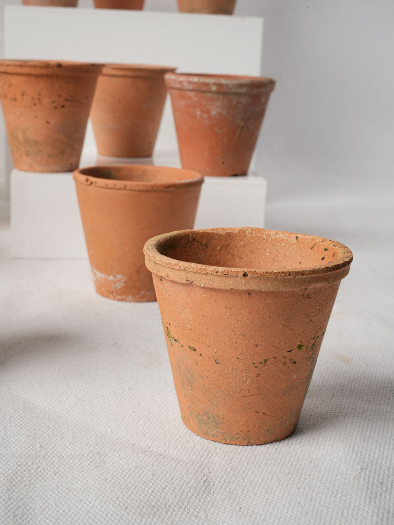 Distinctive earthy-toned plant containers