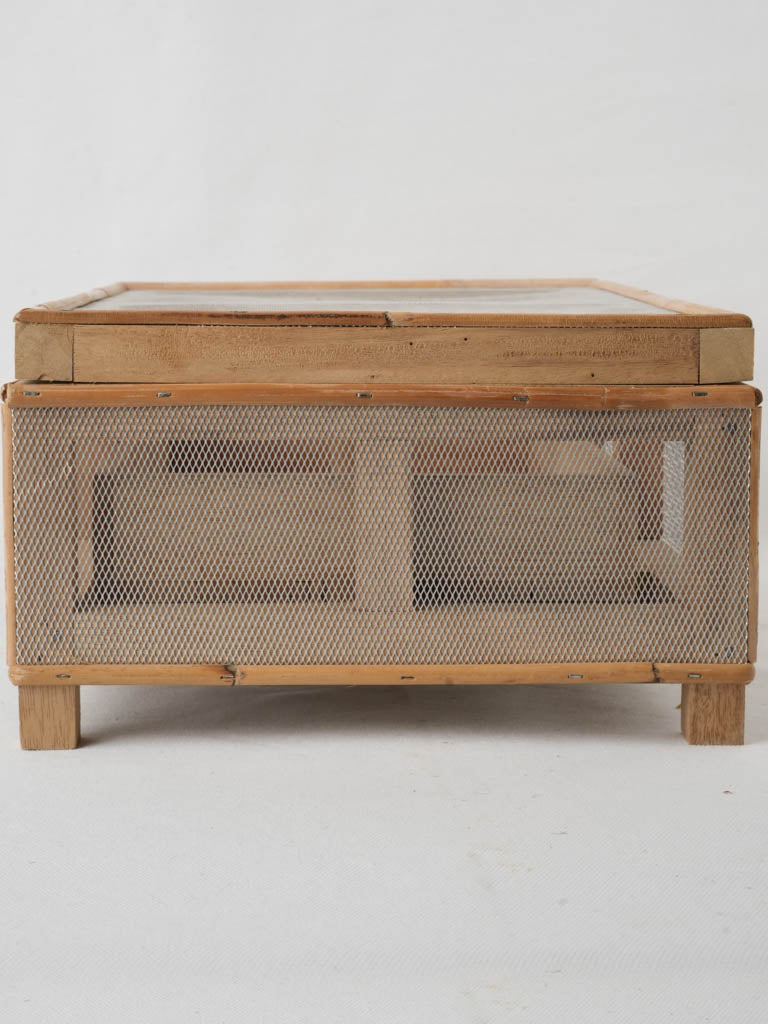 Intricate mesh-encased cheese display case