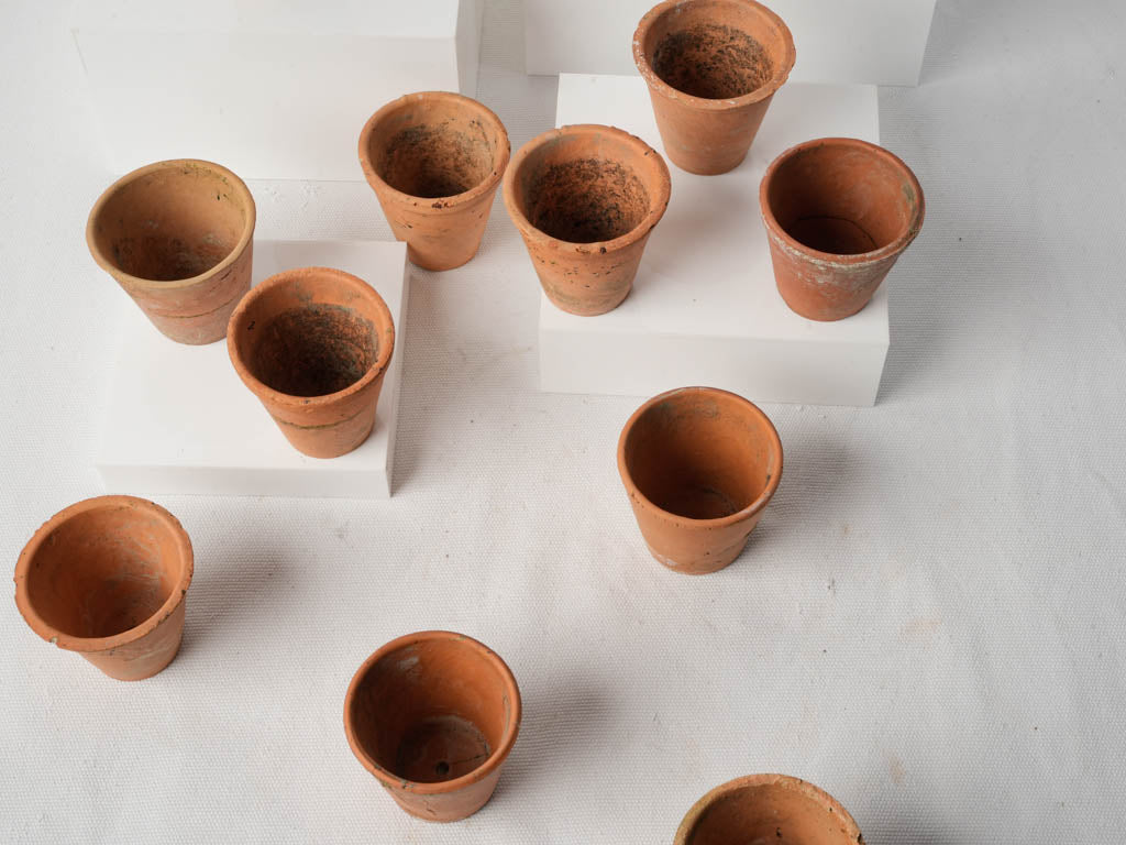 Subtle natural finish seedling pots