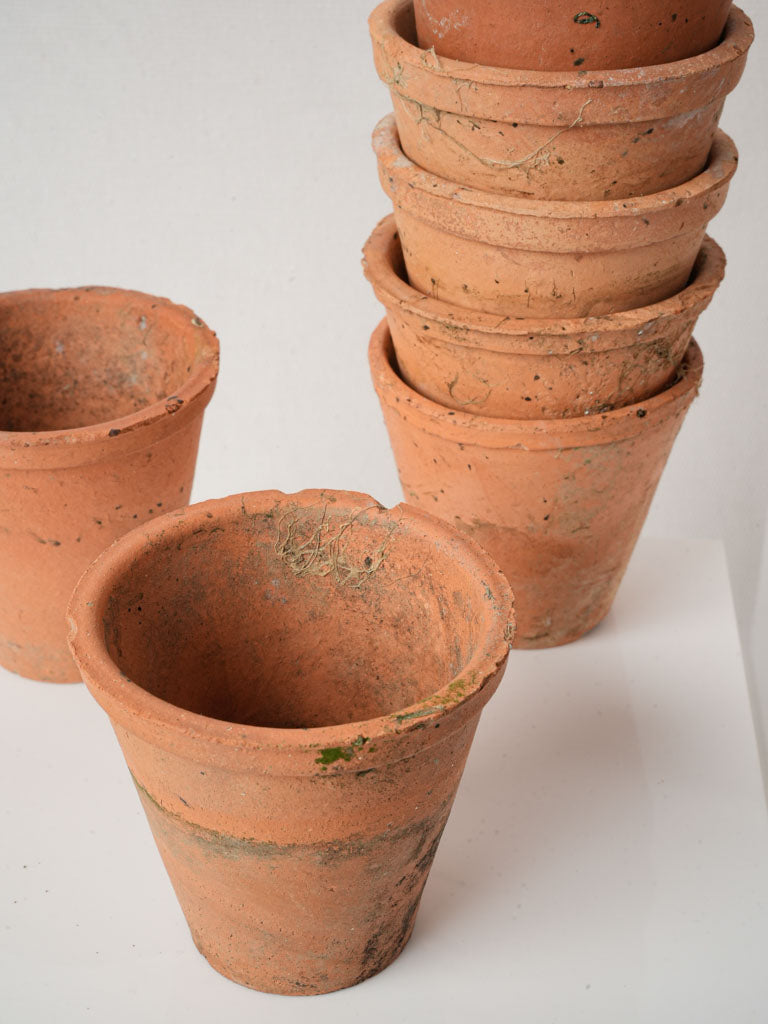 Antique petite terracotta herb planters