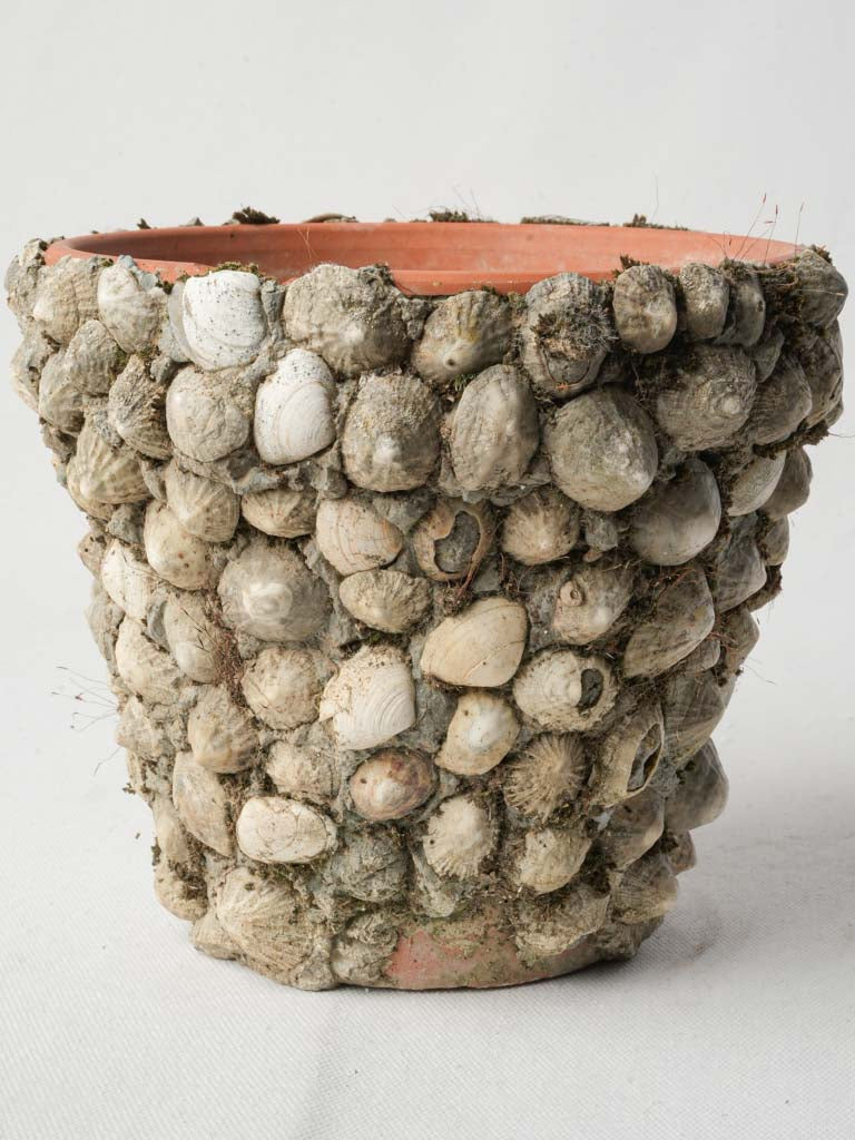 Coastal moss-covered cachepot