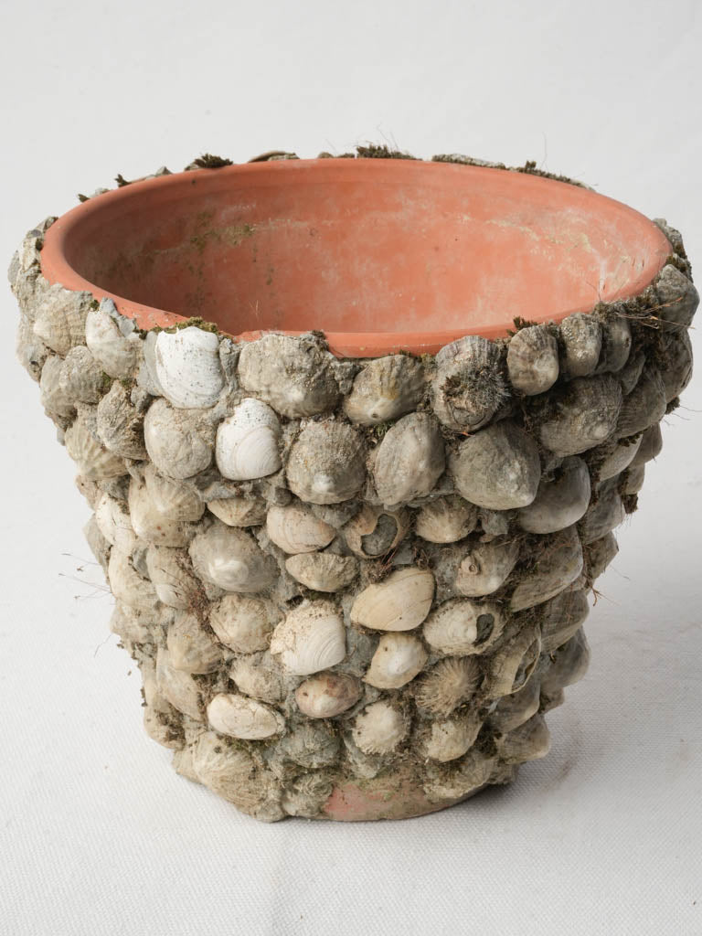 Tactile concrete shell planter