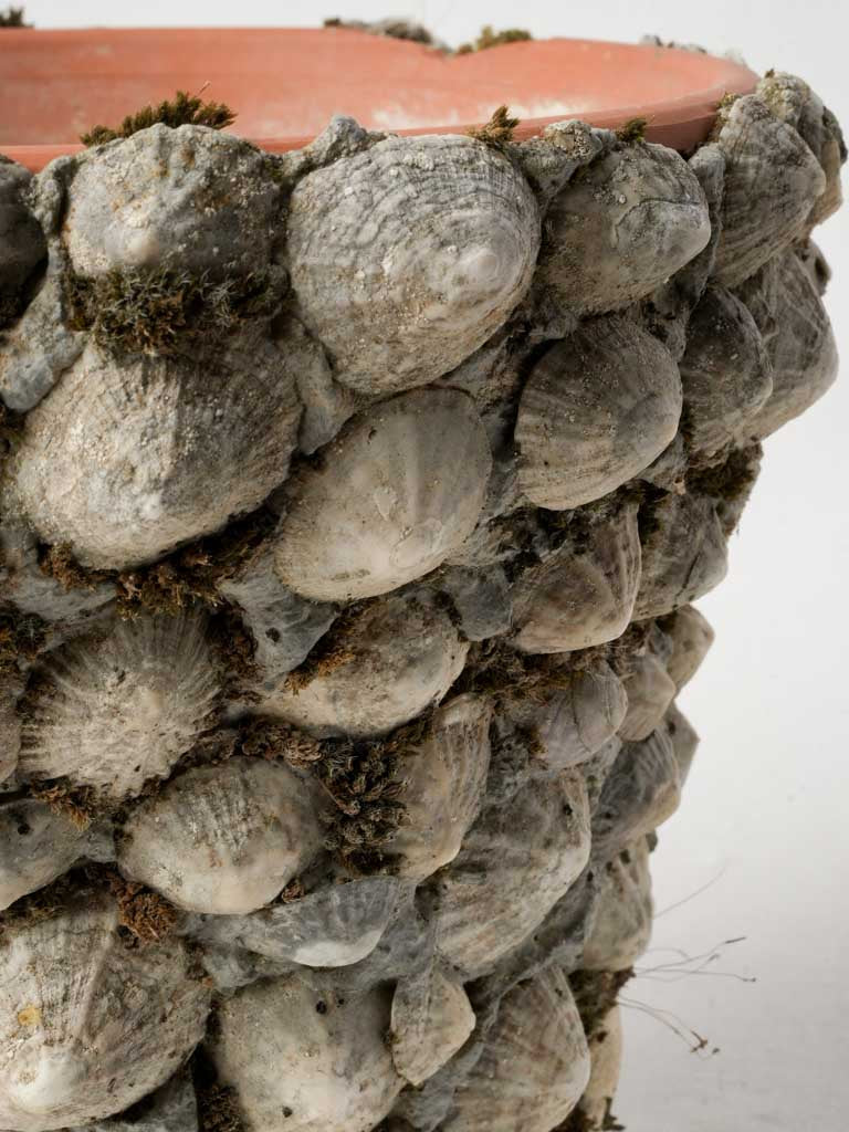 Charming terracotta cachepot